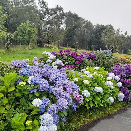 Casa Cima בית נופש